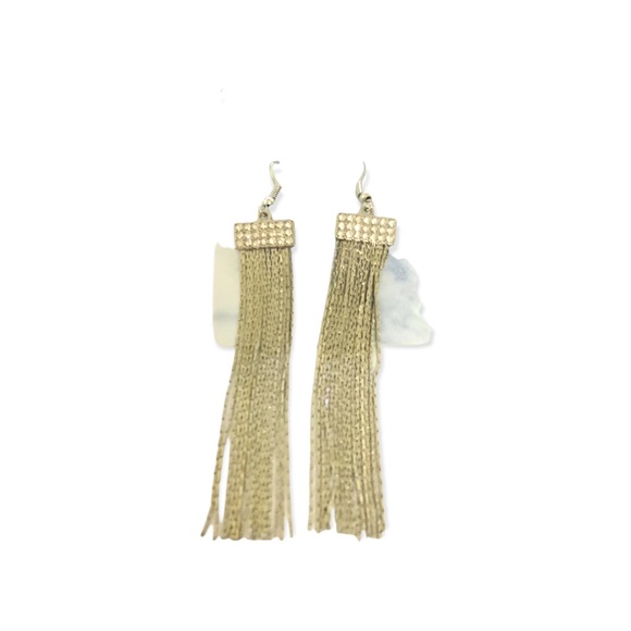 Silver Dangle Earrings